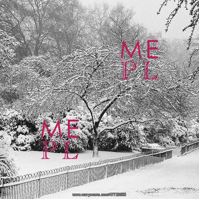  : Park under heavy snow, London