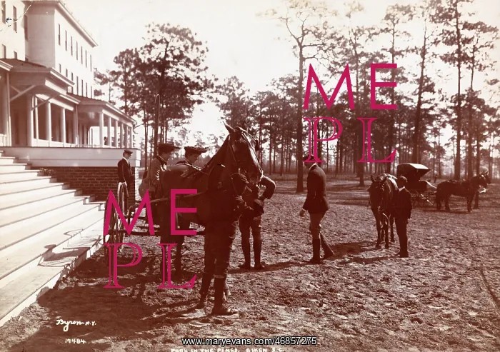  : Park in the Pines