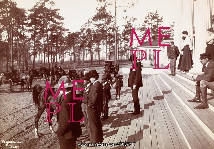 : Park in the Pines : Park in the Pines