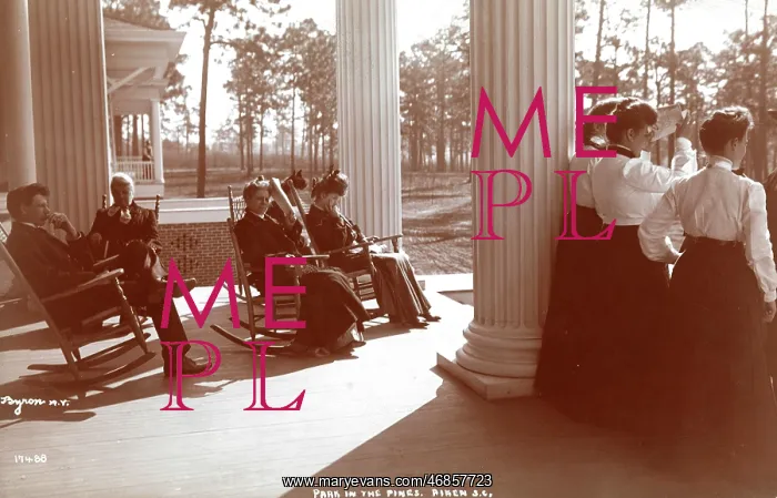 : Park in the Pines : Park in the Pines