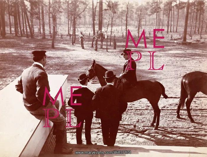 : Park in the Pines : Park in the Pines