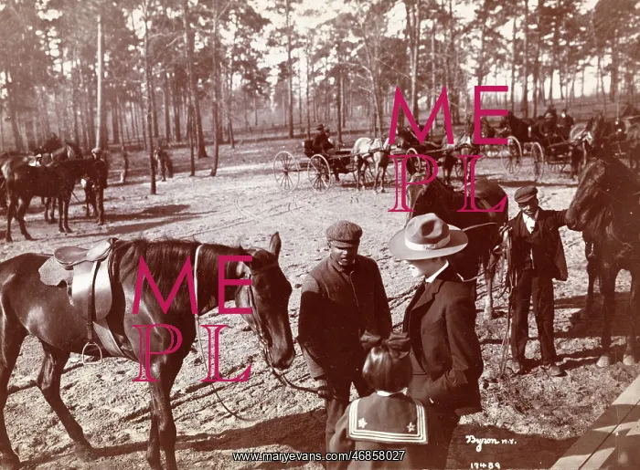  : Park in the Pines
