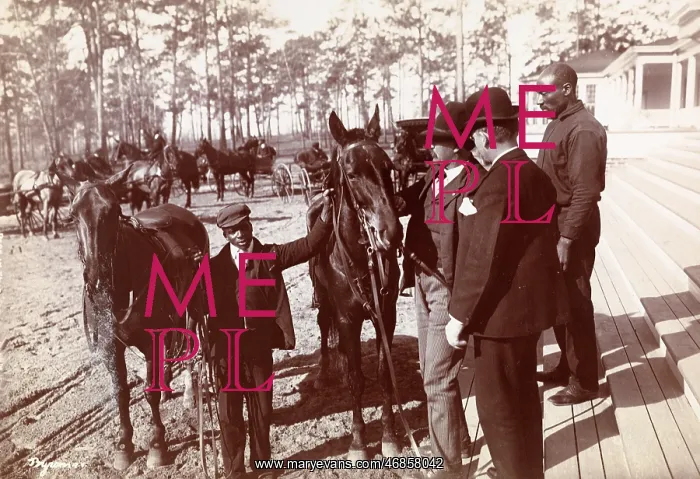 : Park in the Pines : Park in the Pines