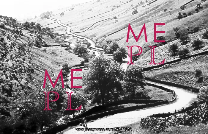  : Park Rash, Kettlewell in the 1930s