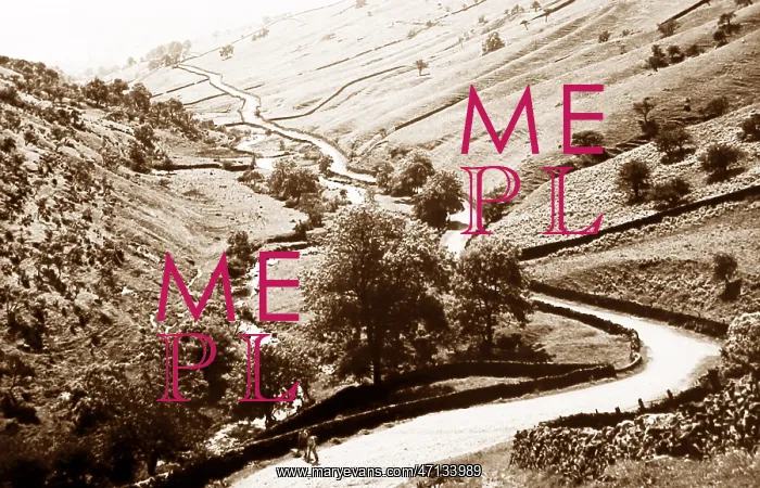  : Park Rash, Kettlewell in the 1930s