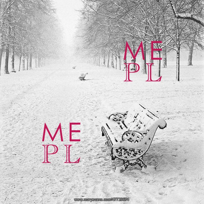  : Park in the snow