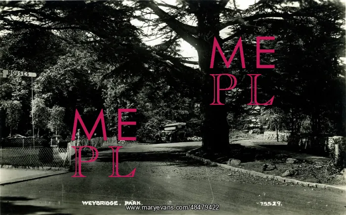 : The Park, Weybridge, Surrey : The Park, Weybridge, Surrey