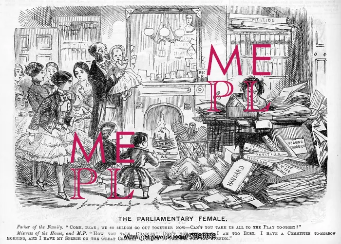 : The parliamentary female : The parliamentary female