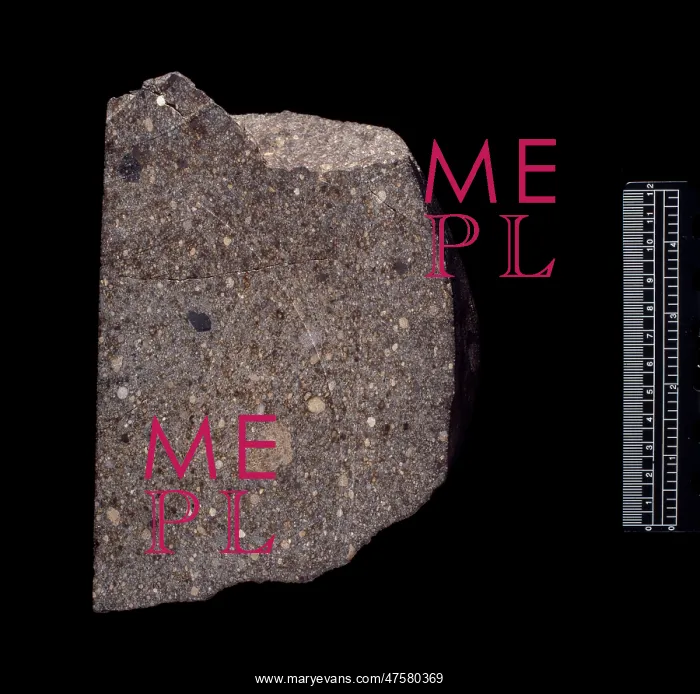 : Parnallee LL3.6 ordinary chondrite : Parnallee LL3.6 ordinary chondrite