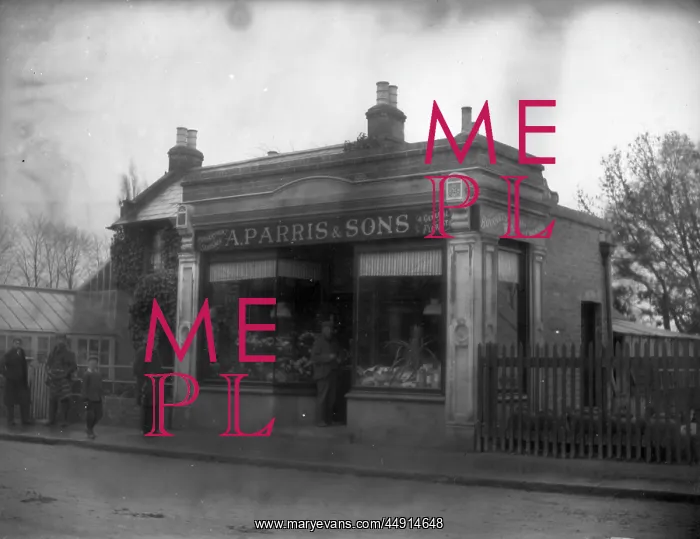 : A Parris and sons Crook log : A Parris and sons Crook log