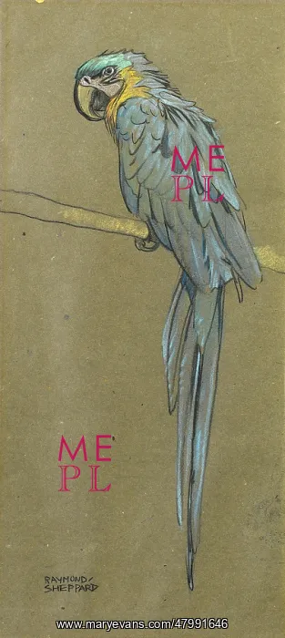  : Parrot. A parrot on a branch