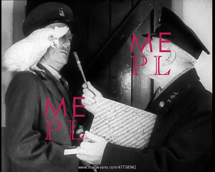 : A Parrot Being Asked What It Thinks of Adolf Hitler : A Parrot Being Asked What It Thinks of Adolf Hitler