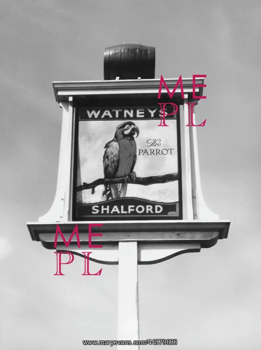 : PARROT INN SIGN : PARROT INN SIGN
