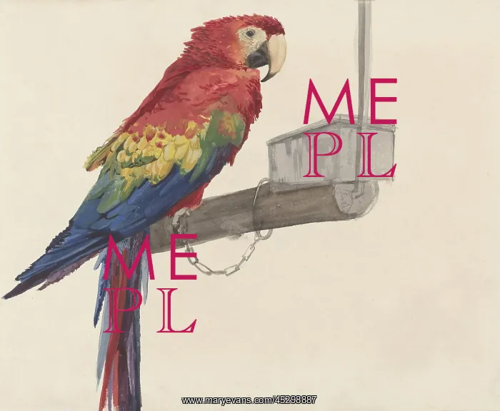 : Parrot, by Louis Charles Bombled : Parrot, by Louis Charles Bombled