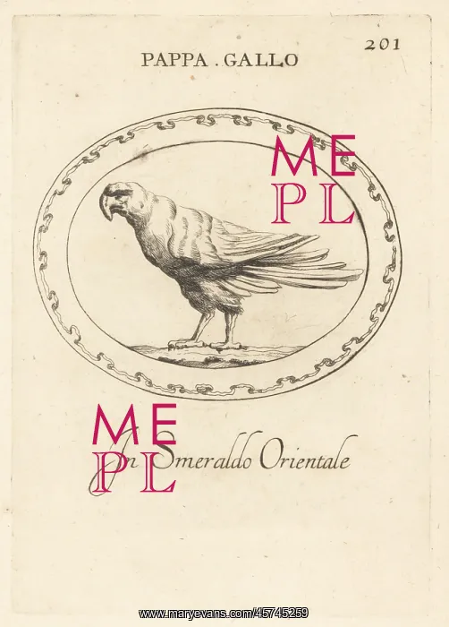 : Parrot in oriental emerald : Parrot in oriental emerald