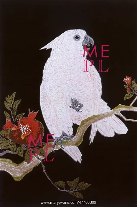 : Parrot and Pomegranate : Parrot and Pomegranate