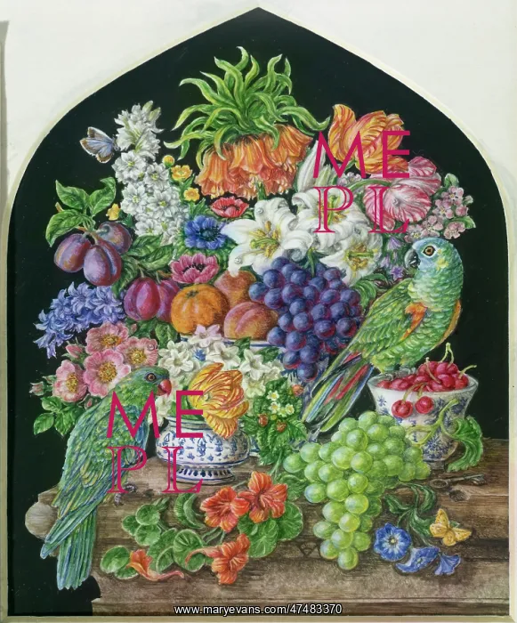 : Two Parrots ' with flowers and fruit : Two Parrots ' with flowers and fruit