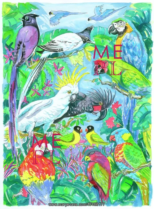 : Parrots and Foliage : Parrots and Foliage