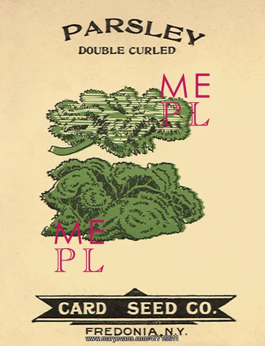  : Parsley Seed Packet
