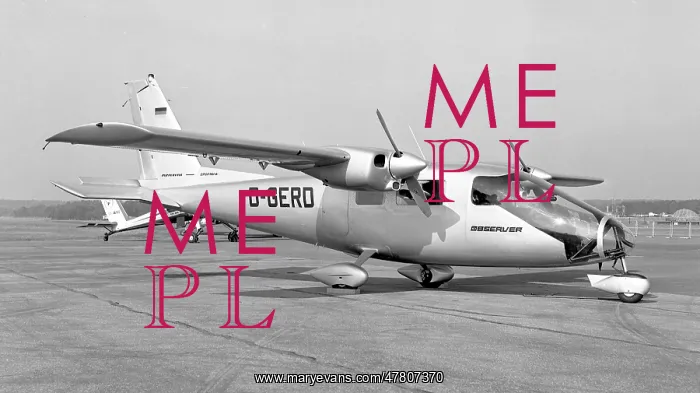 : Partenavia P.68B Observer D-GERD : Partenavia P.68B Observer D-GERD