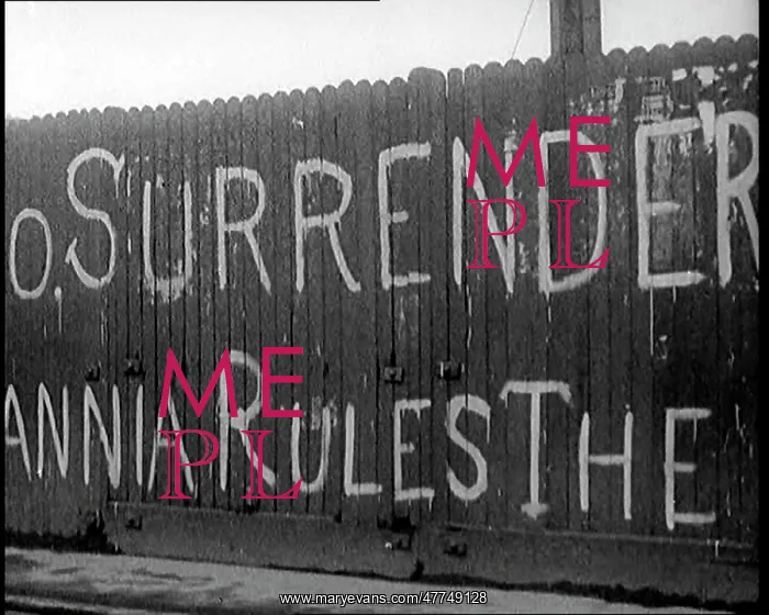 : Partial View of a Spray-Painted Fence, Which : Partial View of a Spray-Painted Fence, Which
