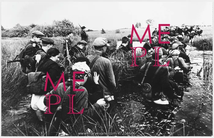 : PARTISANS IN MARSHES : PARTISANS IN MARSHES