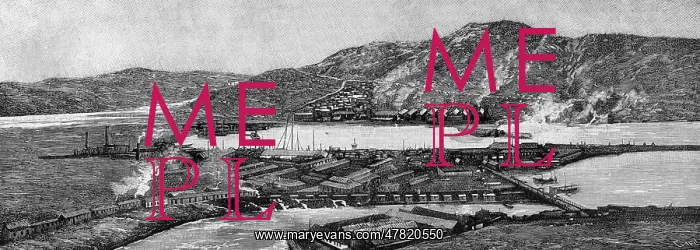 : The partition of China. Panoramic view of Port Arthur : The partition of China. Panoramic view of Port Arthur