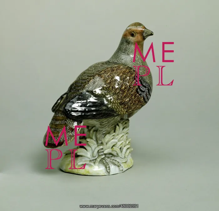 : Partridge. Johann-Joachim Kaendler (1706-1775). Partridge. German porcelain, 18th century : Partridge. Johann-Joachim Kaendler (1706-1775). Partridge. German porcelain, 18th century