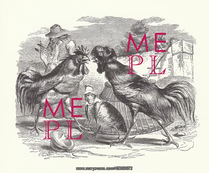 : The Partridge and the Cocks, by Grandville : The Partridge and the Cocks, by Grandville
