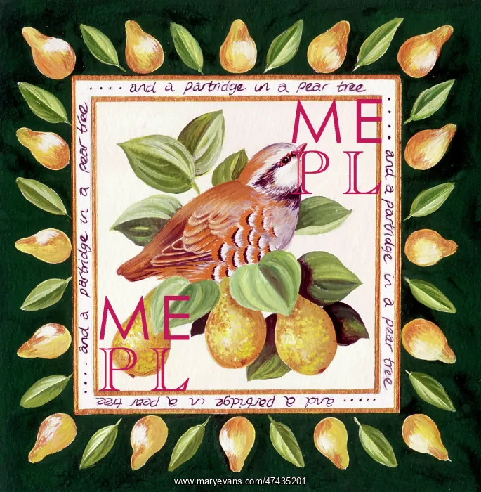 : A Partridge In A Pear Tree : A Partridge In A Pear Tree