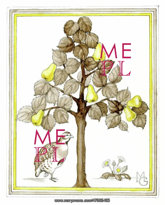 : Partridge in a Pear Tree : Partridge in a Pear Tree