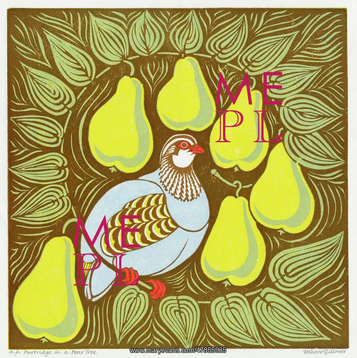 : Partridge in a Pear Tree : Partridge in a Pear Tree