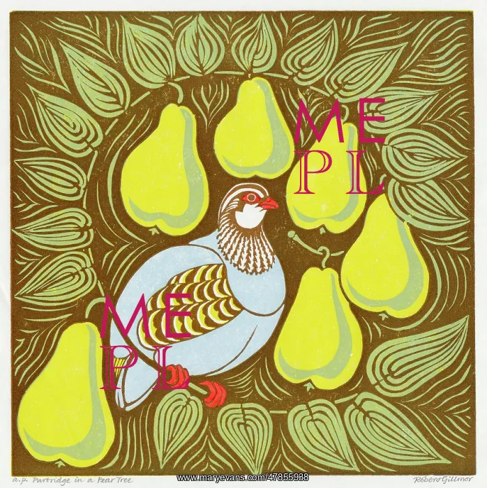 : PARTRIDGE IN A PEAR TREE : PARTRIDGE IN A PEAR TREE