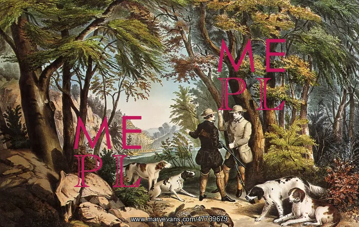  : Partridge Shooting