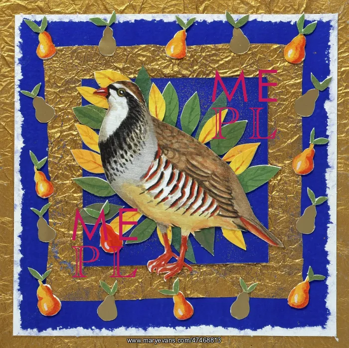 : Partridge surrounded by pears : Partridge surrounded by pears
