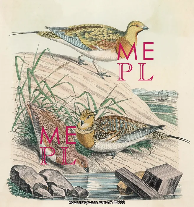  : PARTRIDGES 1860