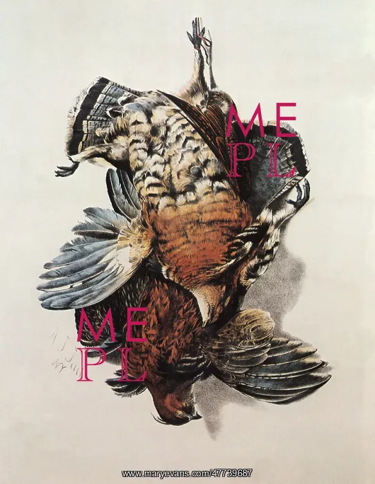 : Partridges