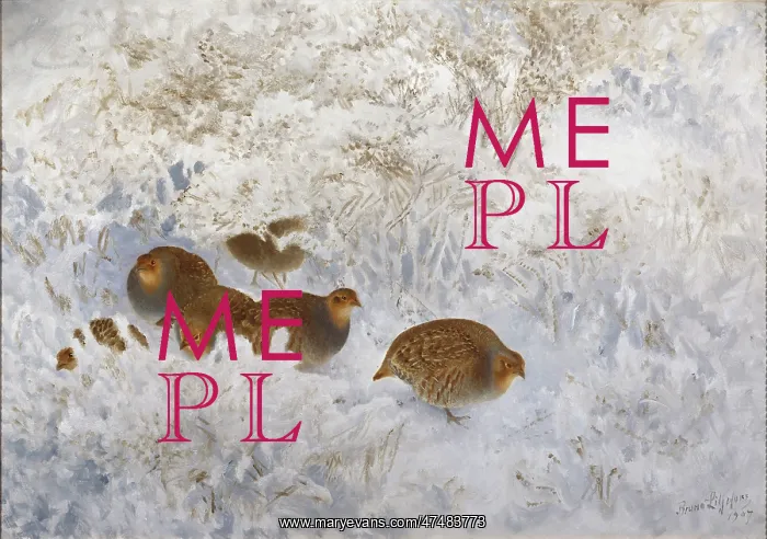 : Partridges in Snow : Partridges in Snow