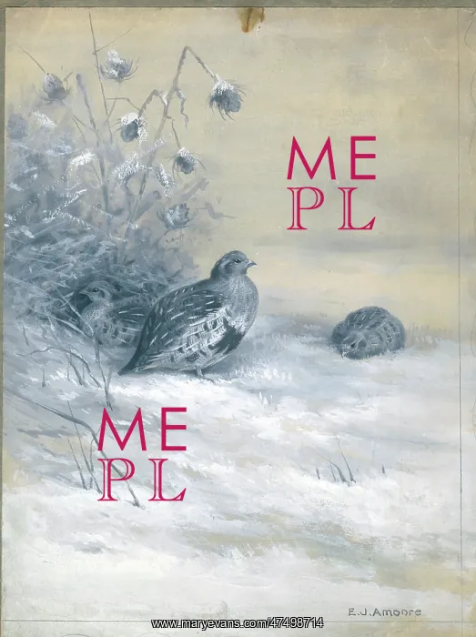  : Two Partridges in the snow