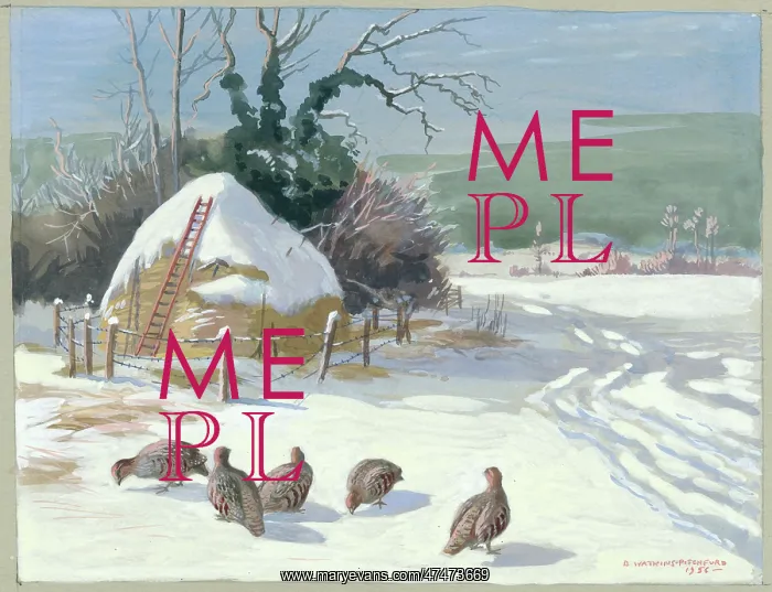  : Partridges in the snow with haystack