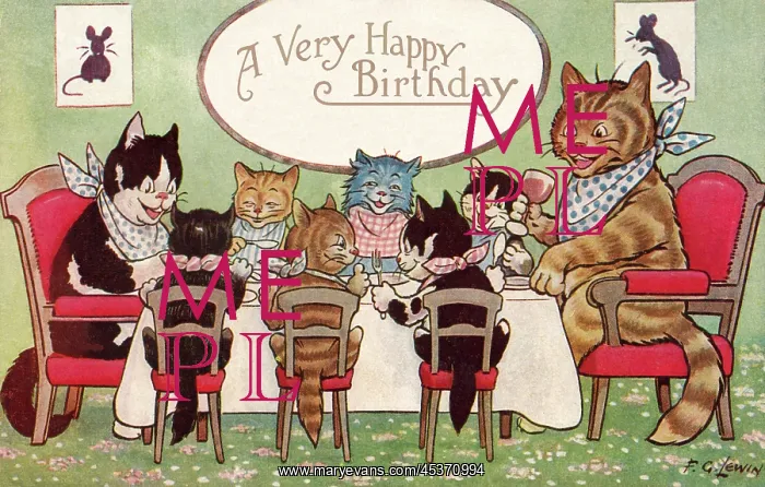 : Partytime for cats : Partytime for cats