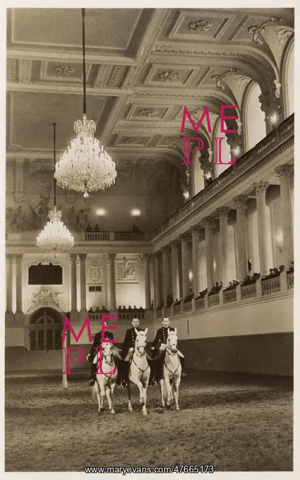  : Pas de Trois, Spanish Riding School, Vienna, Austria
