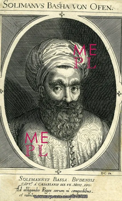 : Pasha Suleiman : Pasha Suleiman