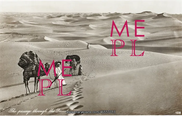 : Passage Through the Desert : Passage Through the Desert