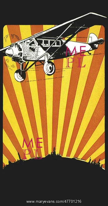  : Passenger Airplane