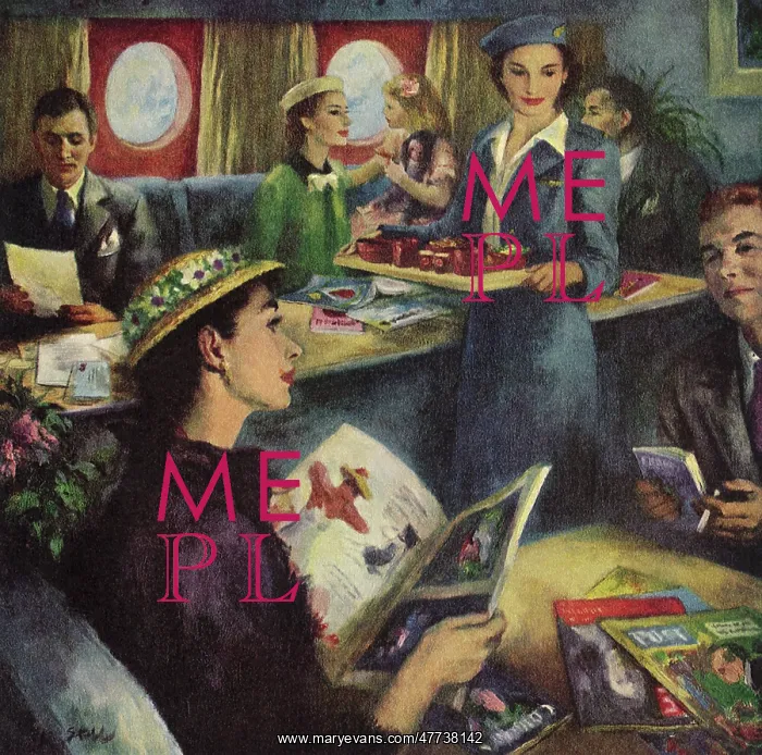  : Passengers on Elegant Airplane