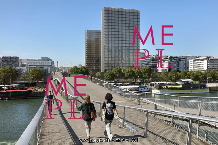 : Passerelle Simone-de-Beauvoir and Bibliotheque : Passerelle Simone-de-Beauvoir and Bibliotheque
