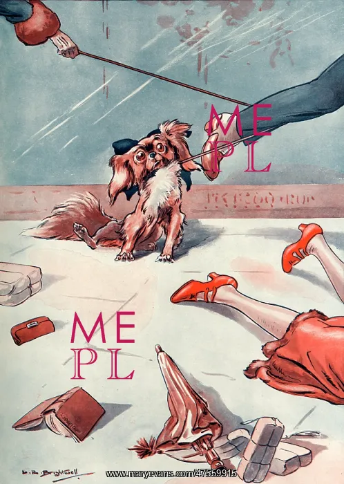 : Passers by tripping over a dog lead : Passers by tripping over a dog lead