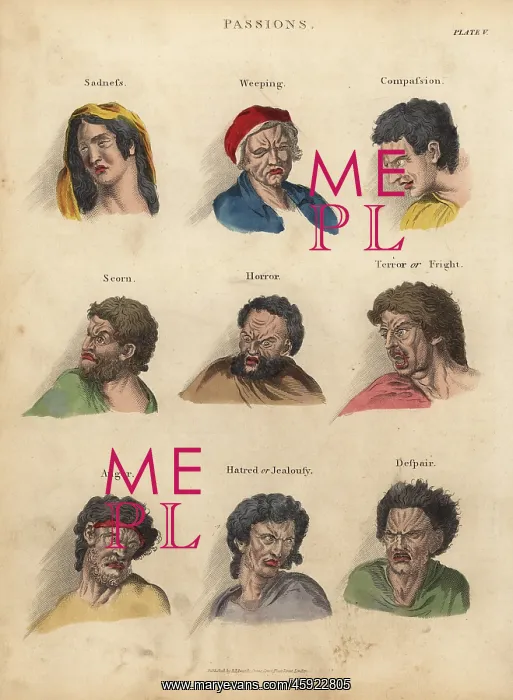 : Passions from Physiognomy : Passions from Physiognomy