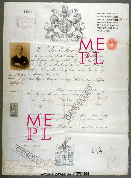 : Passport 1914 : Passport 1914